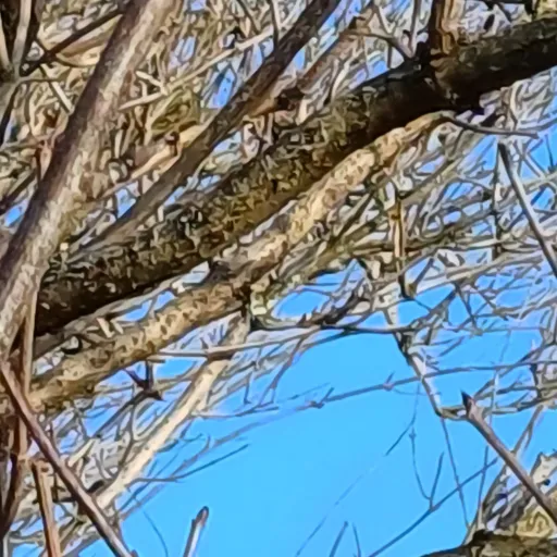 creator ~Anxiety~'s avatar