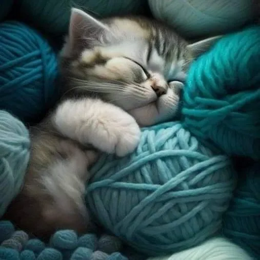 creator Maryo's avatar