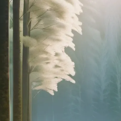 chat with ai character: 👈