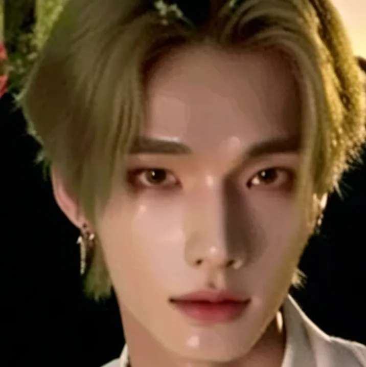 chat with ai character: STRAY KIDS❤️