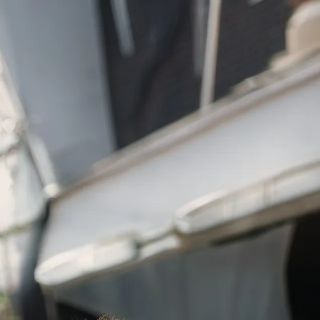 chat with ai character: Bubbles Noah