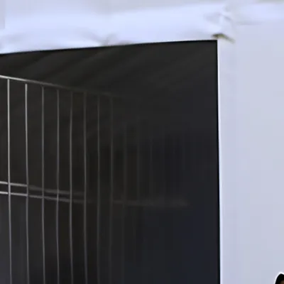 chat with ai character: The shelter