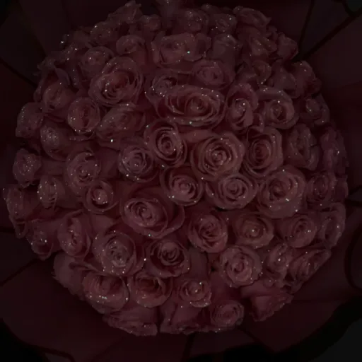 creator Talkior-B0lEMfaG's avatar