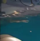 chat with ai character: Jose