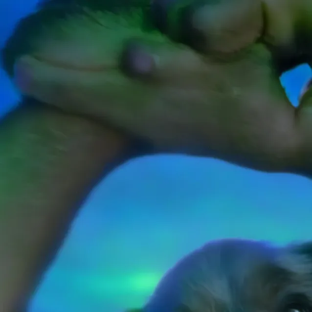 chat with ai character: tiny dog