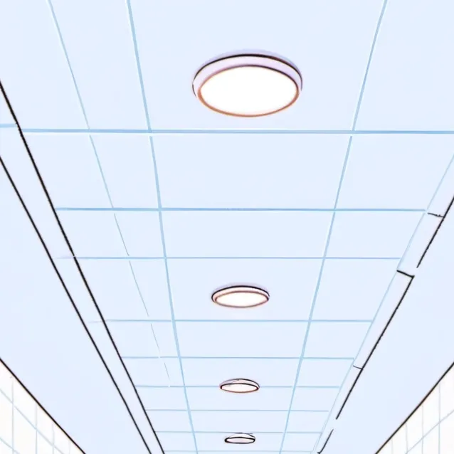 chat with ai character: FPE