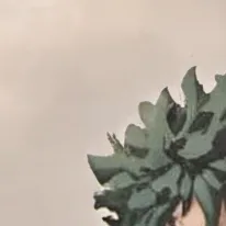 chat with ai character: Maya