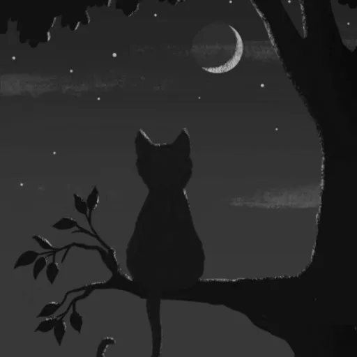 creator Hailey km's avatar