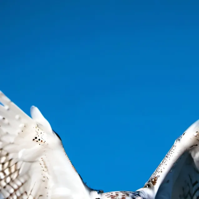 chat with ai character: snowy owl