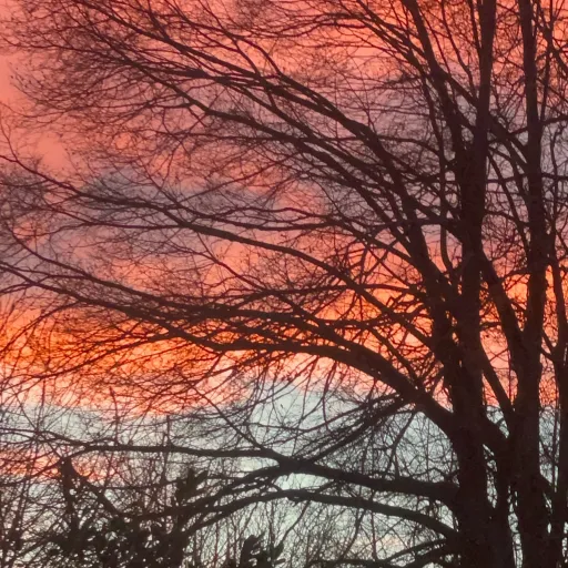 creator Tilly toys 🧸's avatar