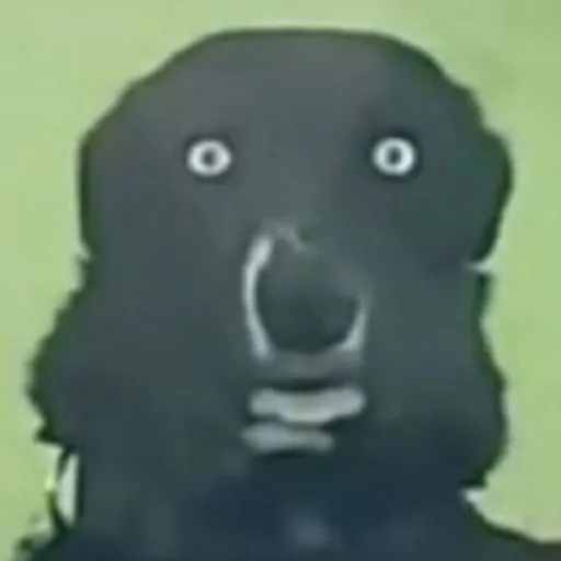 creator Bunny_TheNova's avatar