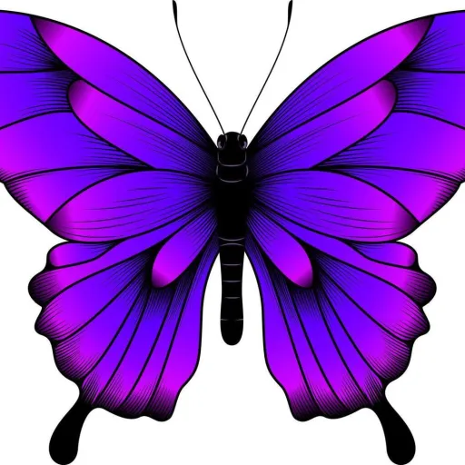 creator Holly43's avatar