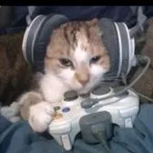 creator nicothegamer#373's avatar