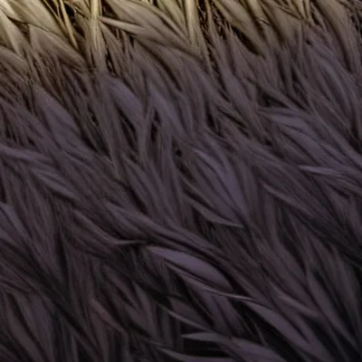 chat with ai character: Grass