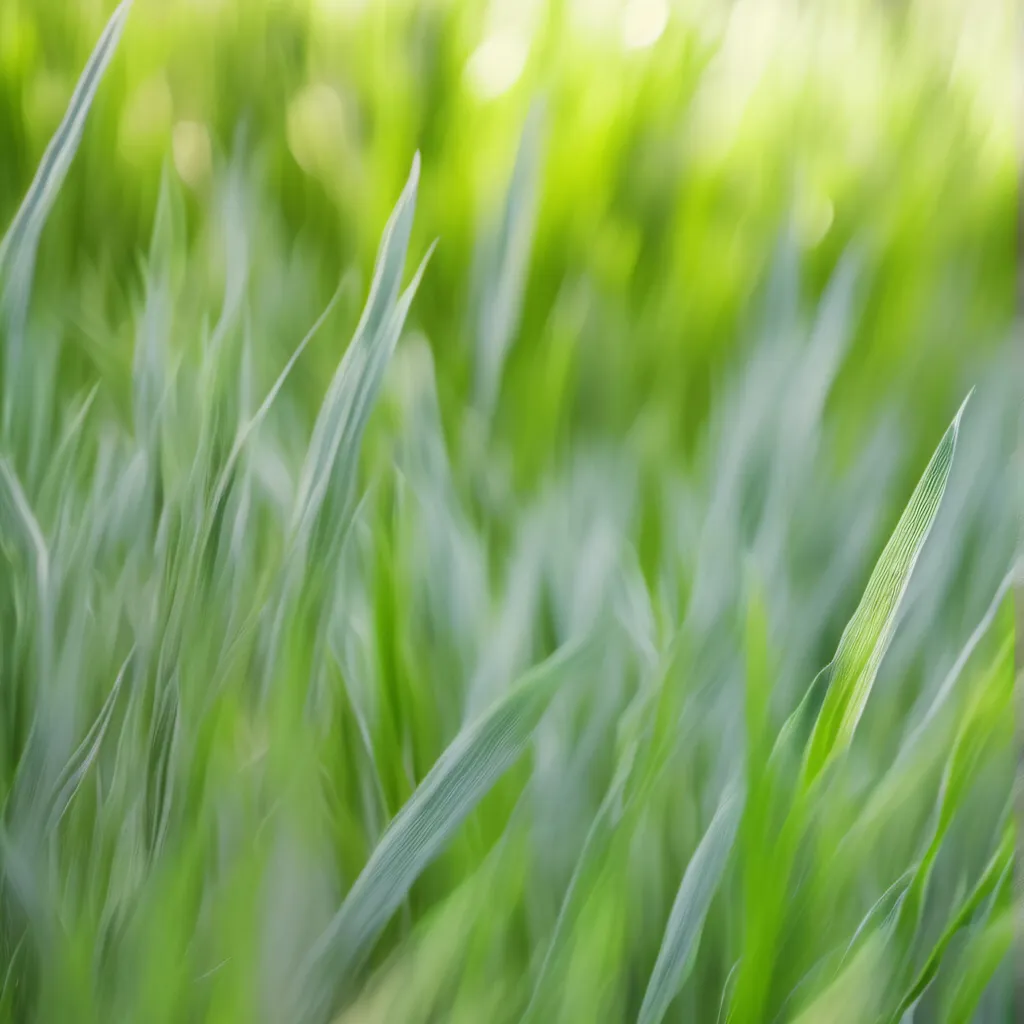 chat with ai character: Grass