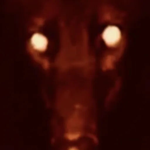 creator Nightmare😅😅😅's avatar