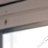 chat with ai character: 🐱All boys world🐱