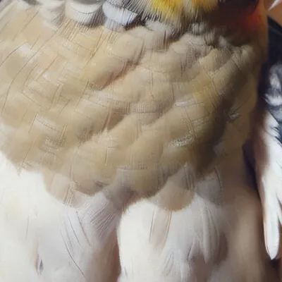 chat with ai character: Pablo