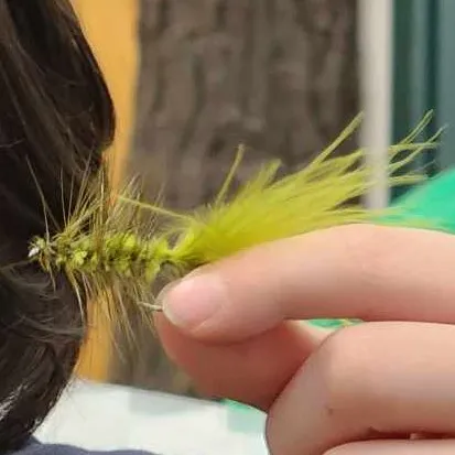 creator EZ$'s avatar