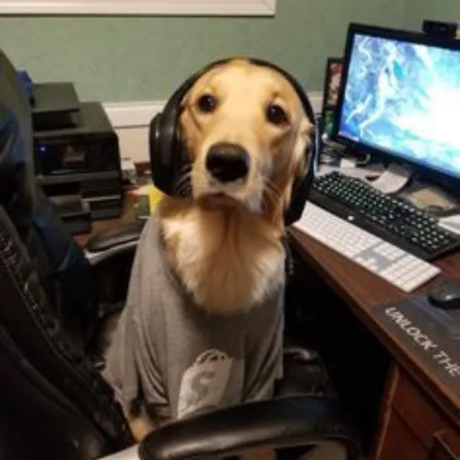 talkie's author avatar