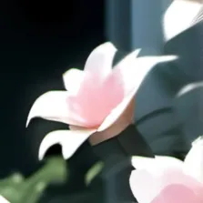 chat with ai character: 💎Vinson👑