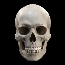 creator The skull master's avatar