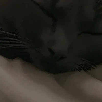 chat with ai character: Max