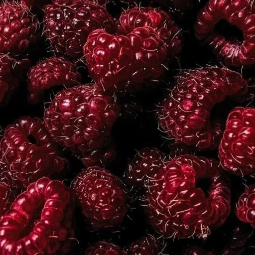 creator ·•★𝕶𝖆𝖙𝖎𝖊★•·'s avatar