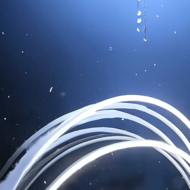 chat with ai character: advice