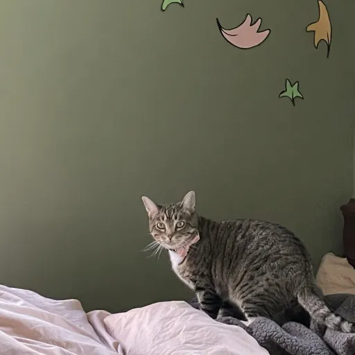 creator badgercops's avatar