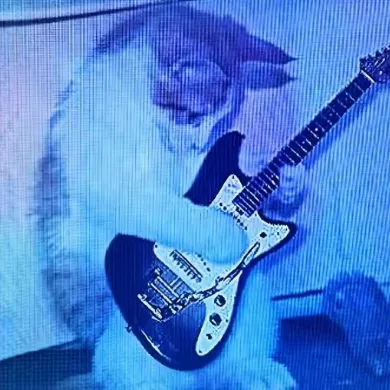 talkie's author avatar