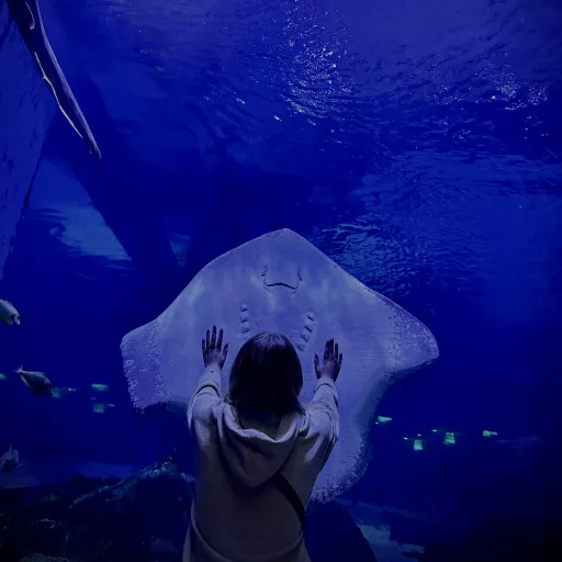 creator goosie g !'s avatar