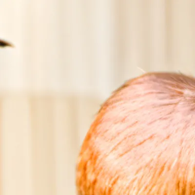 chat with ai character: Capybara 