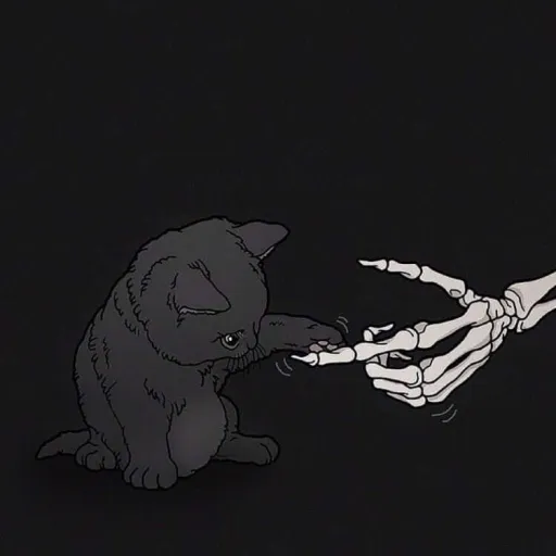 creator Talkior-q8tlLhss's avatar