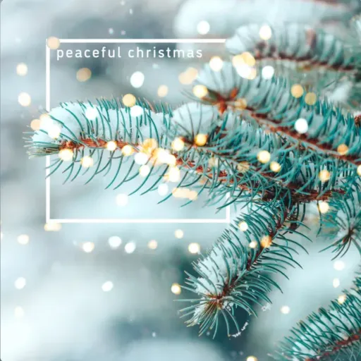 creator Lily_Nac's avatar