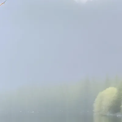 chat with ai character: Wedgie master