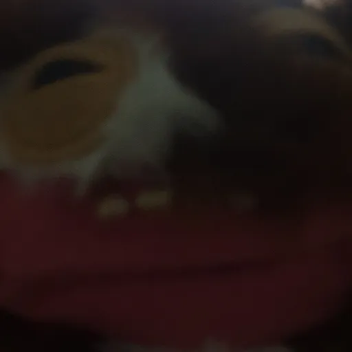 creator gacer's avatar