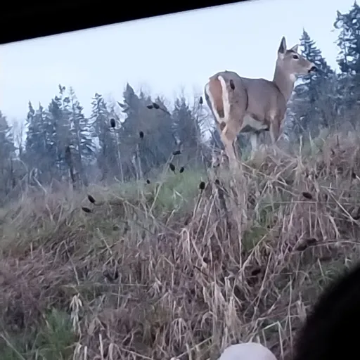 creator thunderalphastar's avatar