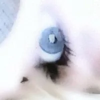 creator Kooco's avatar