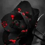 creator DeadlyRoses's avatar