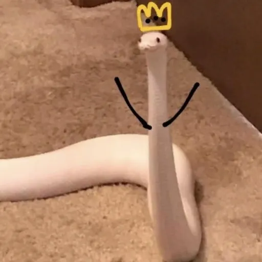 creator Fnaffandomperson's avatar