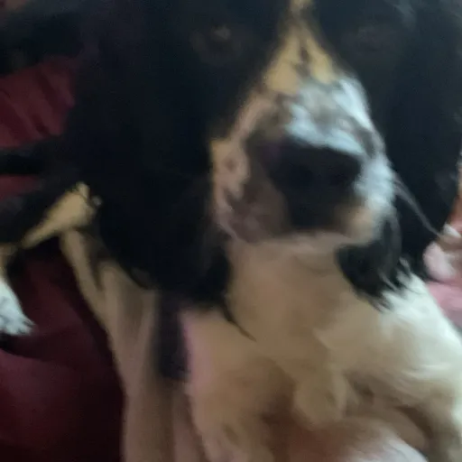 creator Mila•'s avatar