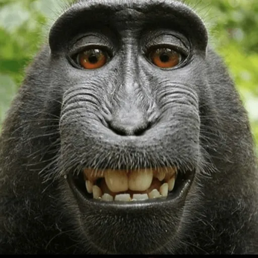 creator DurpyDirt's avatar