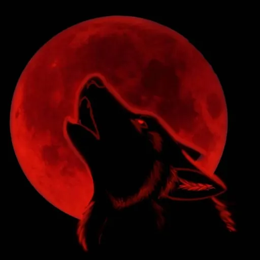 creator Brooke/wolf's avatar