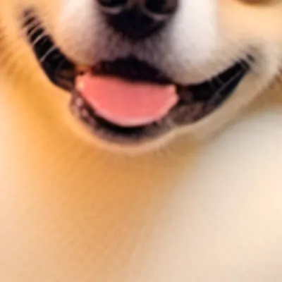 chat with ai character: Waffles 