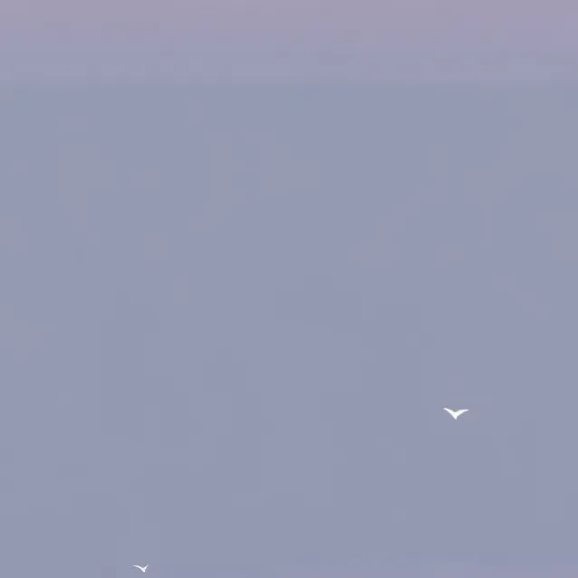 chat with ai character: fan