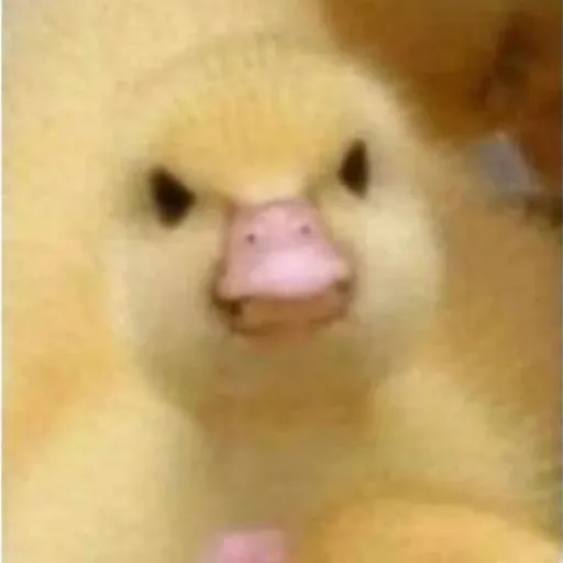 creator Yourstrulyxxx's avatar