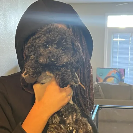 creator Nariluvstoparty's avatar