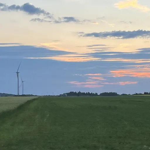 creator ..__.'s avatar