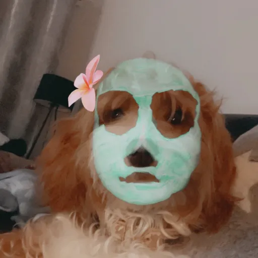 creator Seesee23シ's avatar